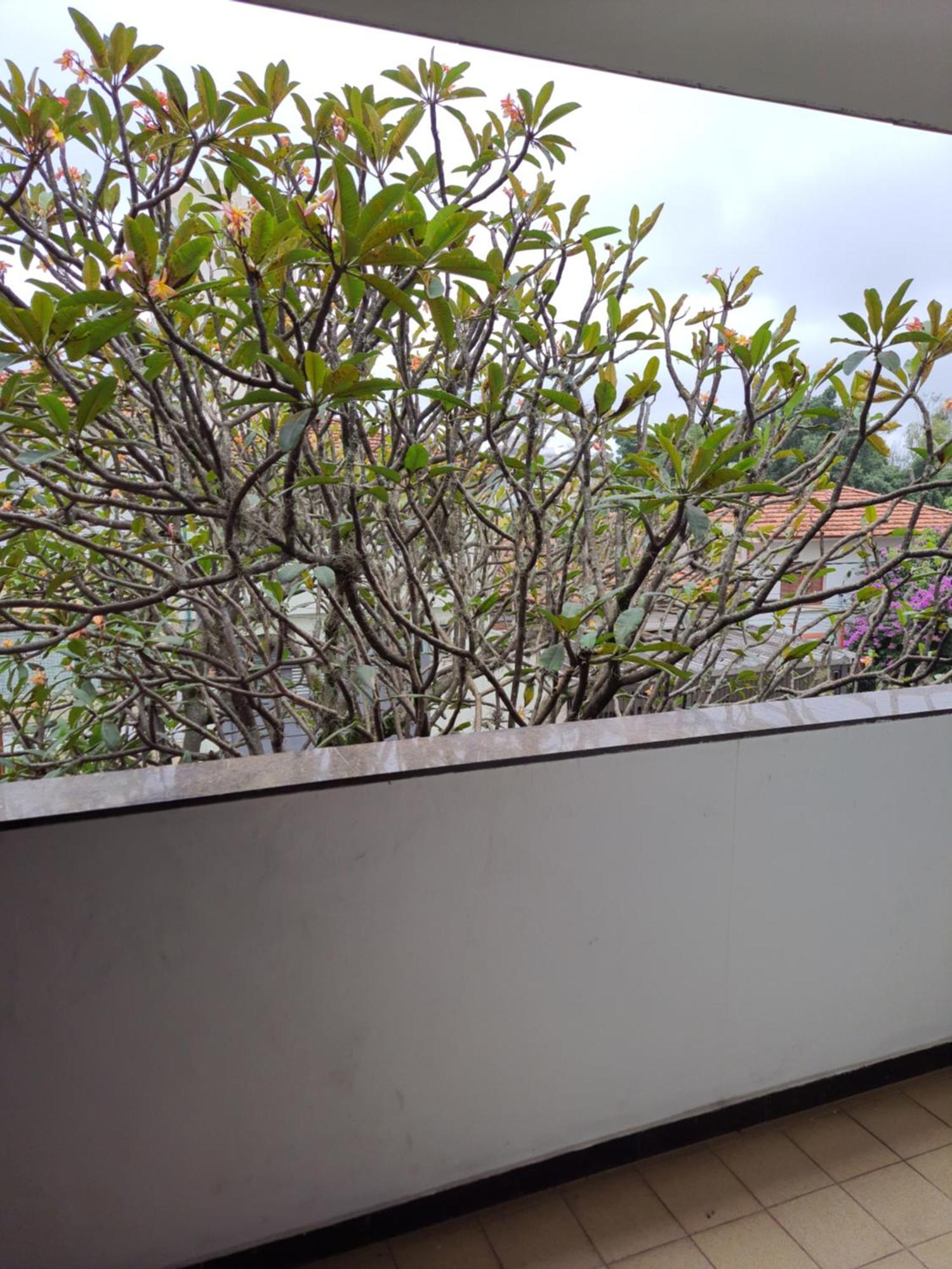 Praça da Árvore Hostel San Paolo Esterno foto